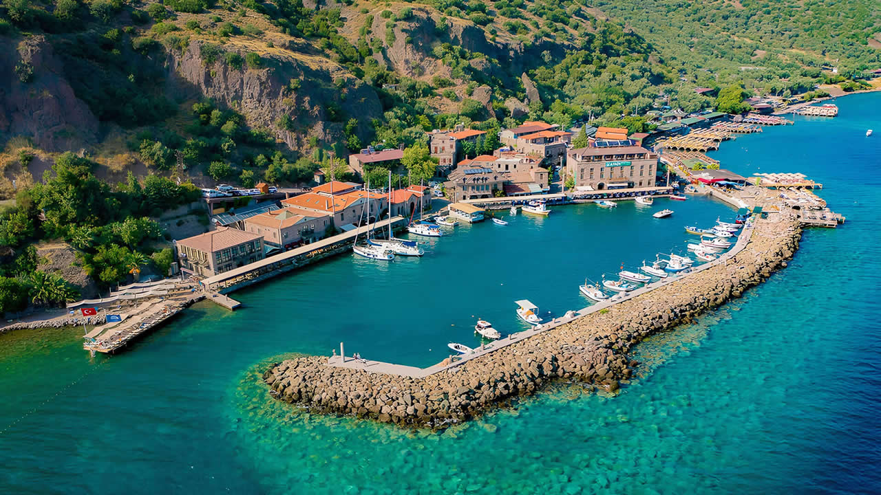 assos_01